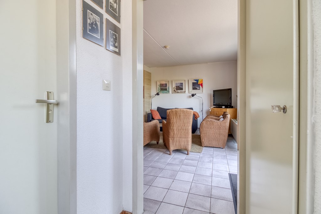 Liguster 77 Nieuwvliet-5.jpg